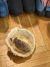 Ze života ježků a velikonoční tvoření v muzeu