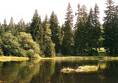 Nrodn park a chrnn krajinn oblast umava, jezero Laka (pozstatek innosti ledovce), foto: Lubor Mrzek