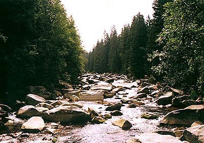 Nrodn park a chrnn krajinn oblast umava, eka Vydra, foto: Lubor Mrzek