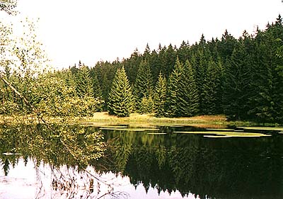 Nrodn park a chrnn krajinn oblast umava, Jelen jezrko - zsobn vodn ndr pro Schwarzenbersk plavebn kanl, foto: Lubor Mrzek