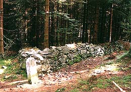 Nrodn park a chrnn krajinn oblast umava, ohrazen bvalch pozemk, foto: Lubor Mrzek
