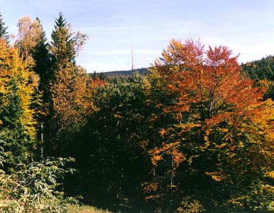 Chr�n�n� krajinn� oblast Blansk� les, Blansk� les na podzim