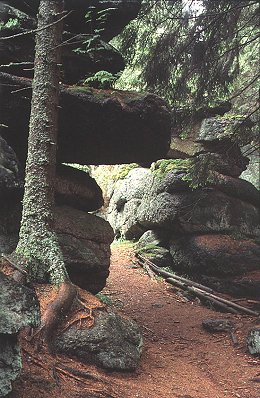 Kamenec, nejvy vrchol esk sti Novohradskch hor, foto: Vclav Dolansk