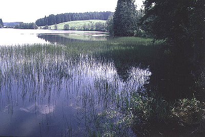 PR Plnisk rybnk, foto Vclav Dolansk