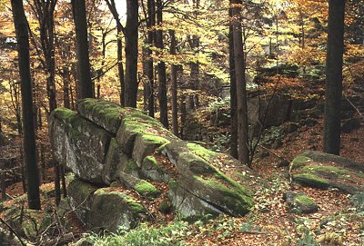 Vysok� k�men v sob�novsk� vrchovin�, foto: V�clav Dolansk�