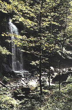 Novohradsk� hory, Ter�ino �dol� - um�l� vodop�d, foto V�clav Dolansk�