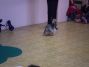 Cirkus v ŠD a ŠK 