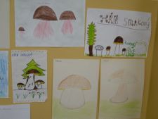 Jak jsme houby nakreslili...