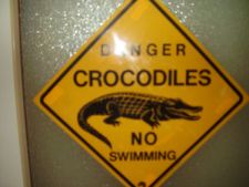 9.D Chvalšiny - krokodýli