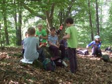 Den lesní pedagogiky 4.A