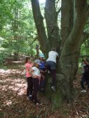 Den lesní pedagogiky 4.A