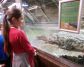 Krokodýli a Leonardo 4. A