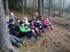 Učíme se v lese 4.C