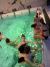 Dívčí tělocvik 8.B a 8.C v bazénu