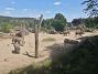 Výlet v ZOO