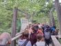 der Nationalpark Bayerischer Wald