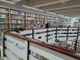 Cesta do knihovny 1.B