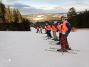 Sněženky a machři ze 7.C na lyžích